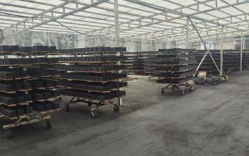 保定防水型<a href=http://www.weiqiwangvip.cn/fwzhxt/ target=_blank class=infotextkey>蜂窩活性炭</a>廠家報(bào)價(jià)