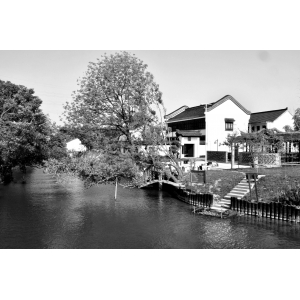 農(nóng)村美麗建設圖片大全 大橋鎮(zhèn)：繪就美麗鄉(xiāng)村共富新樣板